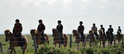 Må man ride på markveje og langs skel? Mange er usikre på adgangsreglerne i det åbne land.